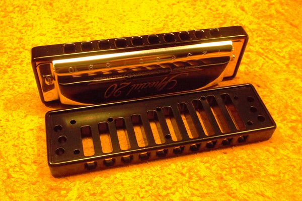  Hohner Special 20 Diatonic Harmonica : Musical Instruments