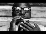 Sonny Terry Estate Harmonica - Hohner Echo Super Vamper -  # 14-15  Key of Eb